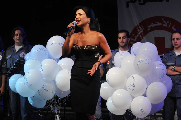 Red cross festival